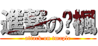 進撃の傻楓 (attack on tmaple)