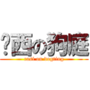 卡西の狗庭 (casi on dogting)