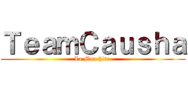 ＴｅａｍＣａｕｓｈａ (La Manchita )