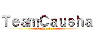 ＴｅａｍＣａｕｓｈａ (La Manchita )