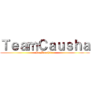 ＴｅａｍＣａｕｓｈａ (La Manchita )