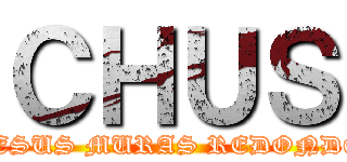 ＣＨＵＳ (JESUS MURAS REDONDO)