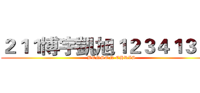 ２１１博宇凱旭１２３４１３５３ (BENSON CHRIS)