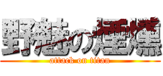 野魅の煙燻 (attack on titan)