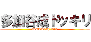 多加谷成ドッキリ (produced by 毎日が合宿)