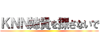 ＫＮＮ姉貴を探さないで ()