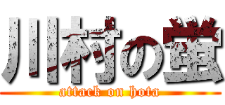 川村の蛍 (attack on hota)