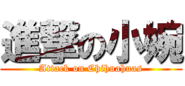 進撃の小婉 (Attack on Chihuahuas)