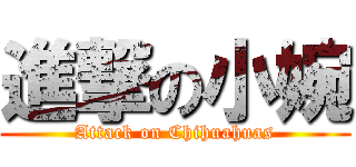 進撃の小婉 (Attack on Chihuahuas)