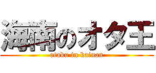 海南のオタ王 (otaku in kainan)