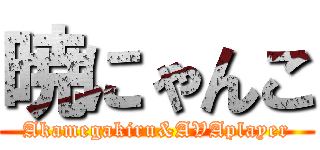 暁にゃんこ (Akamegakiru&AVAplayer)