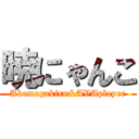 暁にゃんこ (Akamegakiru&AVAplayer)