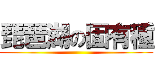 琵琶湖の固有種 ()