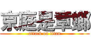 京庭是章螂 (attack on titan)