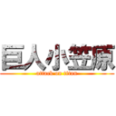 巨人小笠原 (attack on titan)