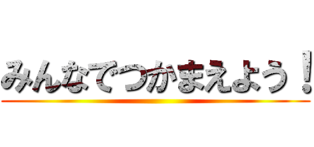みんなでつかまえよう！ ()