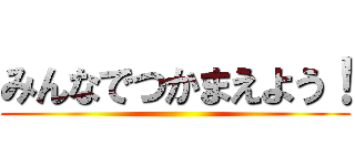 みんなでつかまえよう！ ()