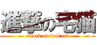 進撃の宅猫 (attack on fool cat)