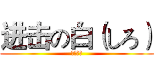进击の白（しろ） (くうはく)