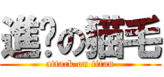 進擊の猫毛 (attack on titan)