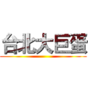 台北大巨蛋 ()