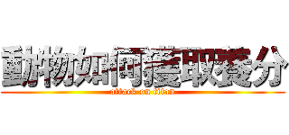 動物如何獲取養分 (attack on titan)