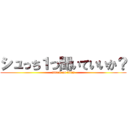 シュっち１つ聞いていいか？ (attack on titan)