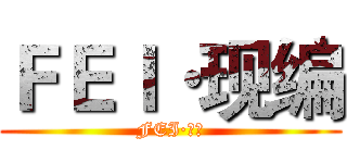 ＦＥＩ·现编 (FEI·现编)