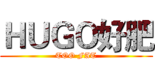 ＨＵＧＯ好肥 (TOO FAT)