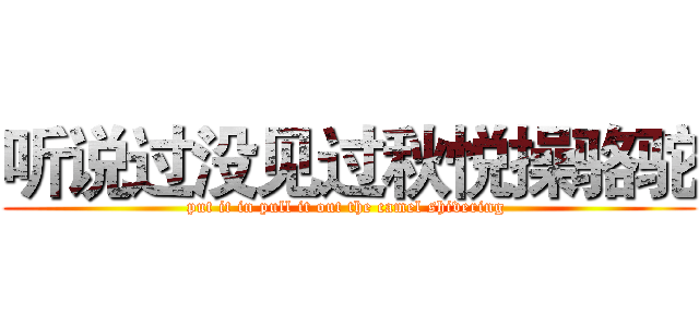 听说过没见过秋悦操骆驼 (put it in pull it out the camel shivering )