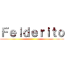 Ｆｅｌｄｅｒｉｔｏ ()