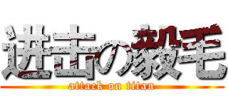 进击の毅毛 (attack on titan)