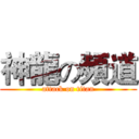 神龍の頻道 (attack on titan)