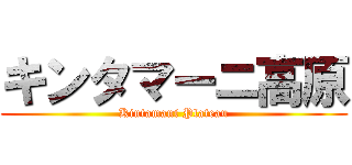 キンタマーニ高原 (Kintamani Plateau)