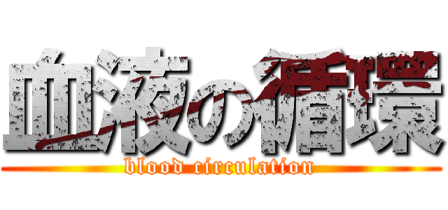 血液の循環 (blood circulation)
