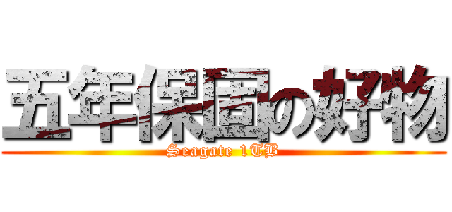 五年保固の好物 (Seagate 1TB)