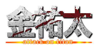 金祐太 (attack on titan)