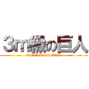 ３ｍ級の巨人 (3m class on titan)