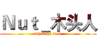 Ｎｕｔ＿木头人 (what the fuck)