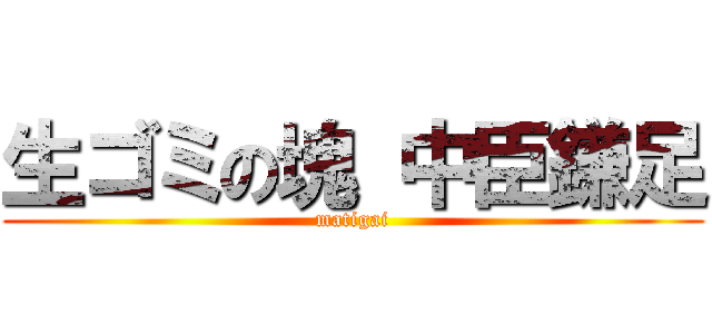 生ゴミの塊 中臣鎌足 (matigai)