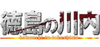 徳島の川内 (kawauchi in tokushima)