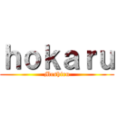 ｈｏｋａｒｕ (Meshiru)