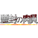 鹽封の肉貝 (attack on titan)