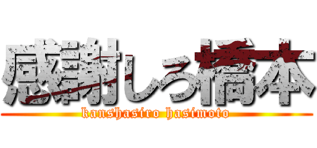 感謝しろ橋本 (kanshasiro hasimoto)