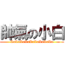 帥氣の小白 (LaLaLaLaLaLaLaLaLa)