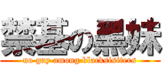 禁基の黑妹 (no gay among blacksisiters)