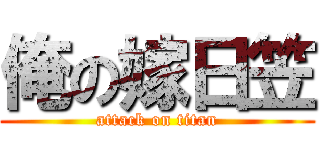 俺の嫁日笠 (attack on titan)