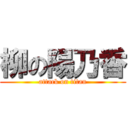 柳の陽乃香 (attack on titan)