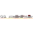 Ｑ３．どこの国が勝つと思いますか ()