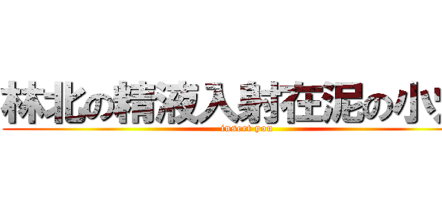 林北の精液入射在泥の小穴內 (insert you)